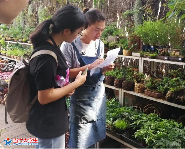 藓苔菌肥新探索 青岛农业大学团队在斗南花卉市场剖析产业需求与服务方向